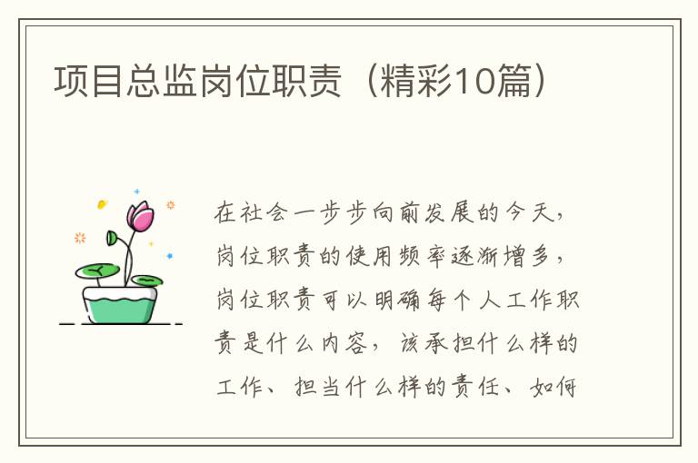 项目总监岗位职责（精彩10篇）