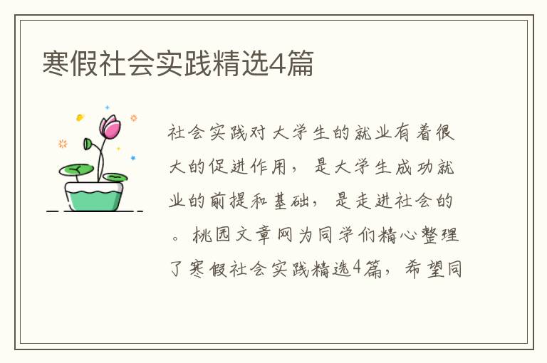 寒假社会实践精选4篇