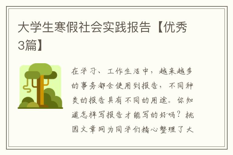 大学生寒假社会实践报告【优秀3篇
