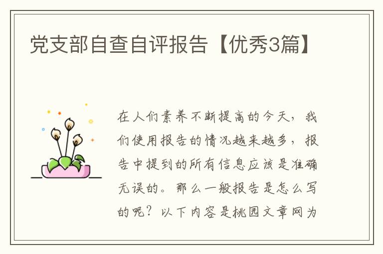 党支部自查自评报告【优秀3篇】